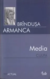 Media culpa