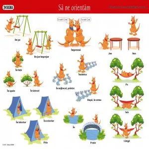 Plansa- Sa ne orientam