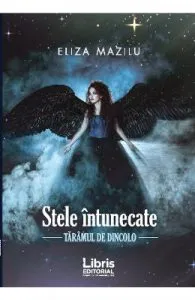 Stele intunecate. Taramul de dincolo de Eliza Mazilu