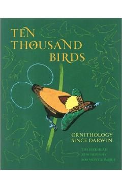 Ten Thousand Birds