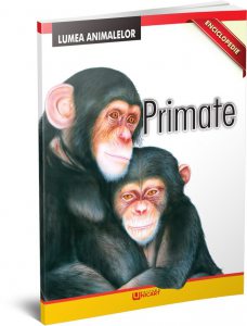 Enciclopedie - Primate