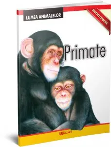 Enciclopedie - Primate