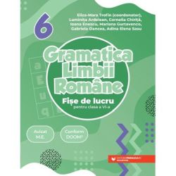 Gramatica limbii romane. Fise de lucru pentru clasa a 6-a