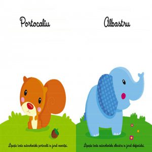 Invat culorile