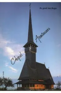 Chipul si asemanarea de Ion Buga