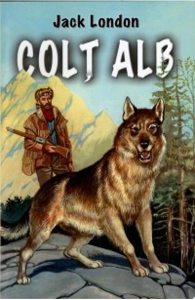 Colt alb
