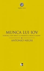 Munca lui Iov. Faimosul text biblic ca parabola a muncii umane