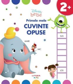 Primele mele cuvinte opuse