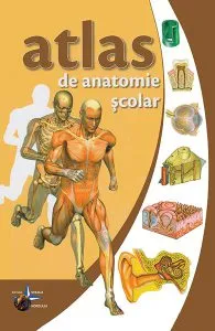 Atlas de anatomie scolar de Vlad Violeta