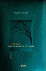 Frunze sub un stergator de parbriz