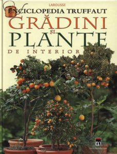 Gradini si plante de interior