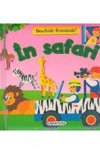 In Safari