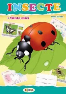 Mapa - Insecte de Inesa Tautu