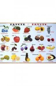 Plansa: Fructe