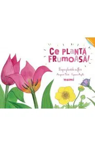 Ce planta frumoasa! Despre plantele cu flori de Marguerite Tiberti