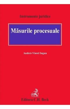 Masurile procesuale