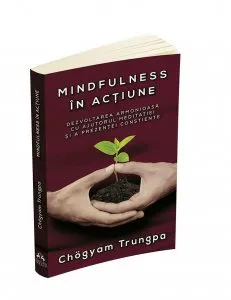 Mindfulness in actiune
