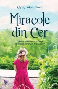 Miracole din cer de Christy Wilson Beam