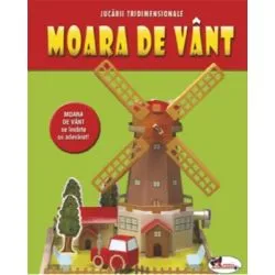 Moara de vant. Confectioneaza-ti jucarii!