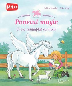 Poneiul magic. Ce s-a intamplat cu oitele