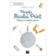 Filozofia Micului Print. Intelepciune, identitate si fericire