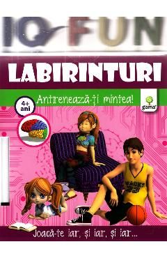 Iq Fun - Labirinturi
