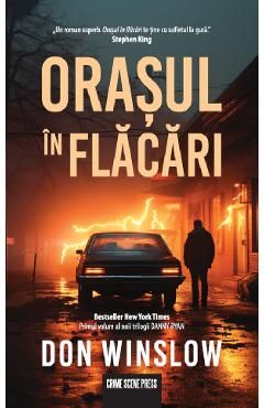Orasul in flacari. Seria Danny Ryan Vol.1