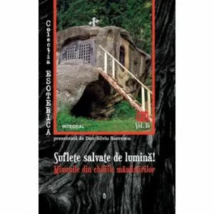 Suflete salvate de lumina. Minunile din chiliile manastirilor de Dan Silviu Boerescu
