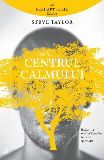 Centrul calmului de Steve Taylor