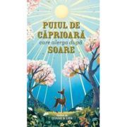 Puiul de caprioara care alearga dupa soare