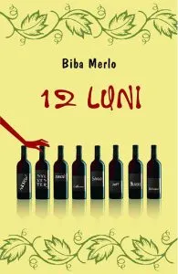 12 luni de Biba Merlo
