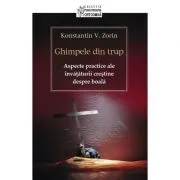 Ghimpele din trup. Aspecte practice ale invataturii crestine despre boala - Konstantin V. Zorin de Konstantin V. Zorin