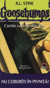 Nu coboriti in pivnita! de Robert Lawrence Stine