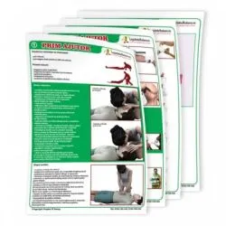 Set planse prim ajutor pentru scolile de soferi, 50 x 70 cm