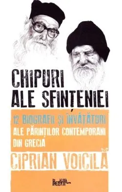 Chipuri ale sfinteniei de Ciprian Voicila