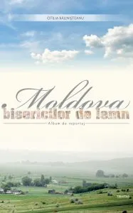 Moldova bisericilor de lemn: album de reportaj de Otilia Balinisteanu