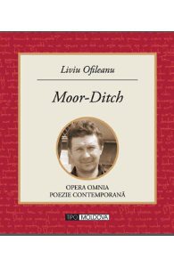 Moor-Ditch