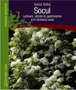 Socul