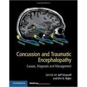 Concussion and Traumatic Encephalopathy: Causes, Diagnosis and Management de Jeff Victoroff