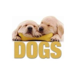 Dogs (CubeBook)