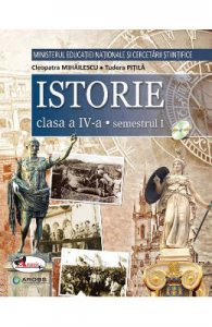 Istorie
