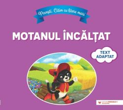 Motanul încălțat