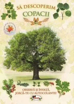 Sa descoperim copacii. Observa si invata, joaca-te cu autocolante!