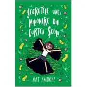 Secretele unei milionare din curtea scolii de Nat Amoore