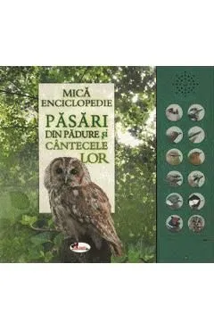 Mica enciclopedie: Pasari din padure si cantecele lor de Autor Anonim