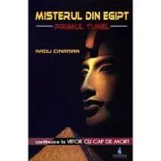Misterul din Egipt. Primul tunel, continuare la Viitor cu cap de mort de Radu Cinamar