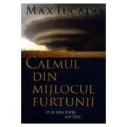 Calmul din mijlocul furtunii. O zi din viata lui Isus de Max Lucado