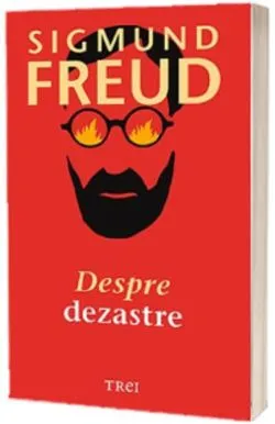 Despre dezastre