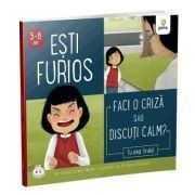 Esti furios. Faci o criza sau discuti calm? Colectia Cum sa iei decizii corecte