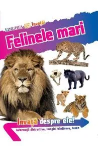 Felinele mari. Invata despre ele! de Andrea Mills